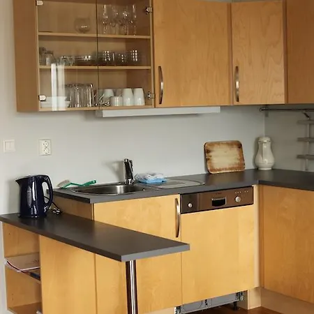 Apartmán Hordatun Røldal
